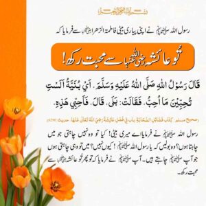 تو عائشہ ؓ سے محبت رکھ