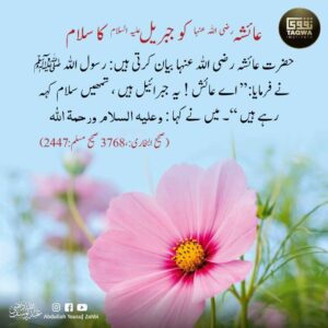 عائشہ ؓ کو جبریل علیہ السلام کا سلام