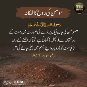 مومن کی روح کا ٹھکانہ