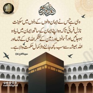 اللہ نے اہل ایمان کے دلوں میں سکینت نازل فرمائی