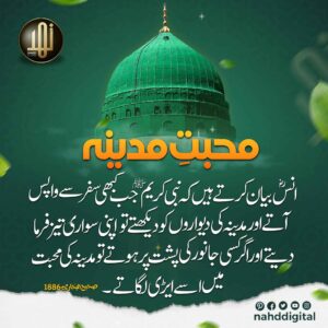 محبت مدینہ