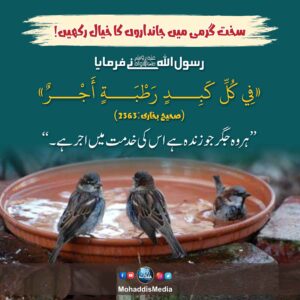 سخت گرمی میں جانداروں کا خیال رکھیں