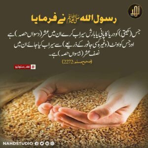 کھیتی کا عشر