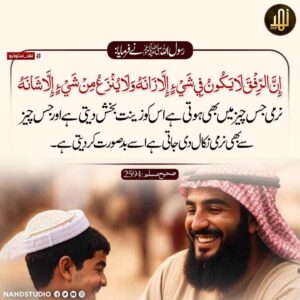 نرمی ہر چیز کو زینت بخش دیتی ہے