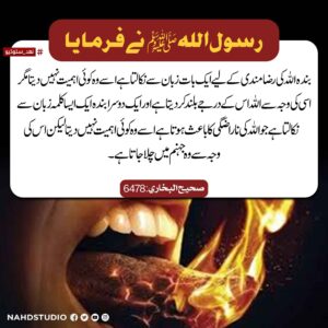 زبان سے نکلی ہوئی بات