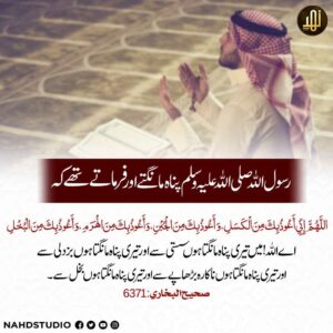 رسول اللہ ﷺ چار چیزوں سے پناہ مانگتے