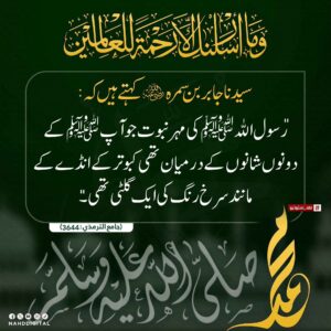 مہر ختم نبوت