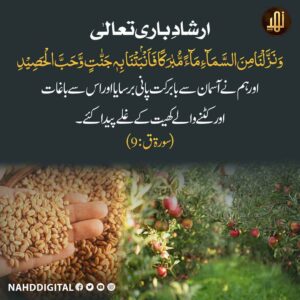 بارش کا پانی برکت والا ہوتا ہے
