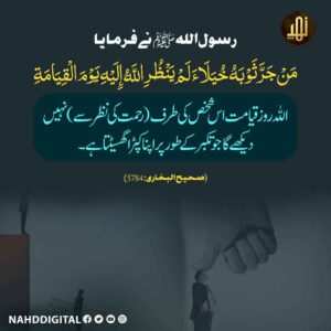 تکبر کے طور پر اپنا کپڑا گھسیٹنے والا