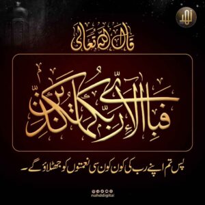 تم اپنے رب کی کون کونسی نعمت کو جھٹلاؤ گے