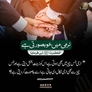 نرمی میں خوبصورتی ہے