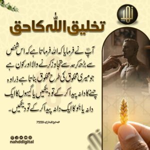 تخلیق اللہ کا حق