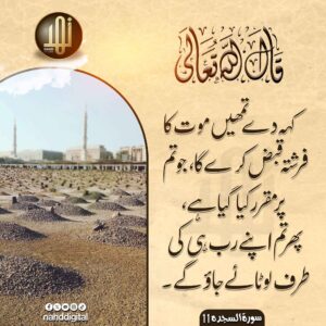 پھر تم اپنے رب کی طرف لوٹائے جاؤ گے